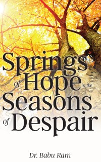 Cover image: Springs of Hope in the Seasons of Despair 9781954095465