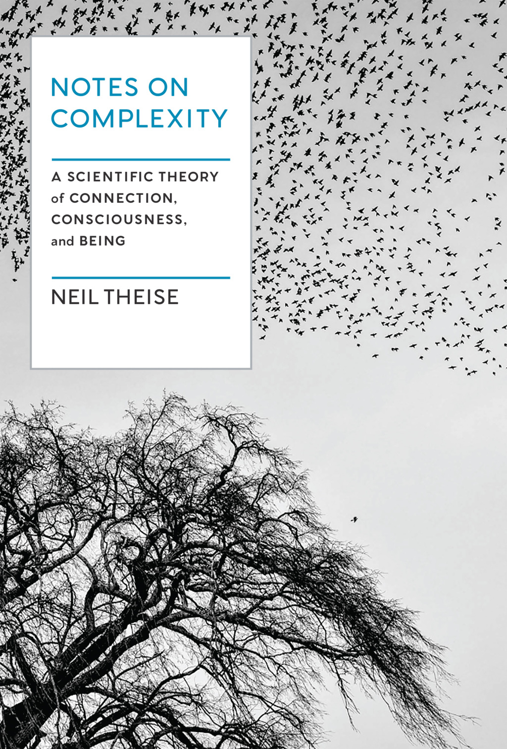 Notes on Complexity A Scientific Theory of Connection, Consciousness, and Being