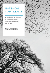 Imagen de portada: Notes on Complexity 9781954118256