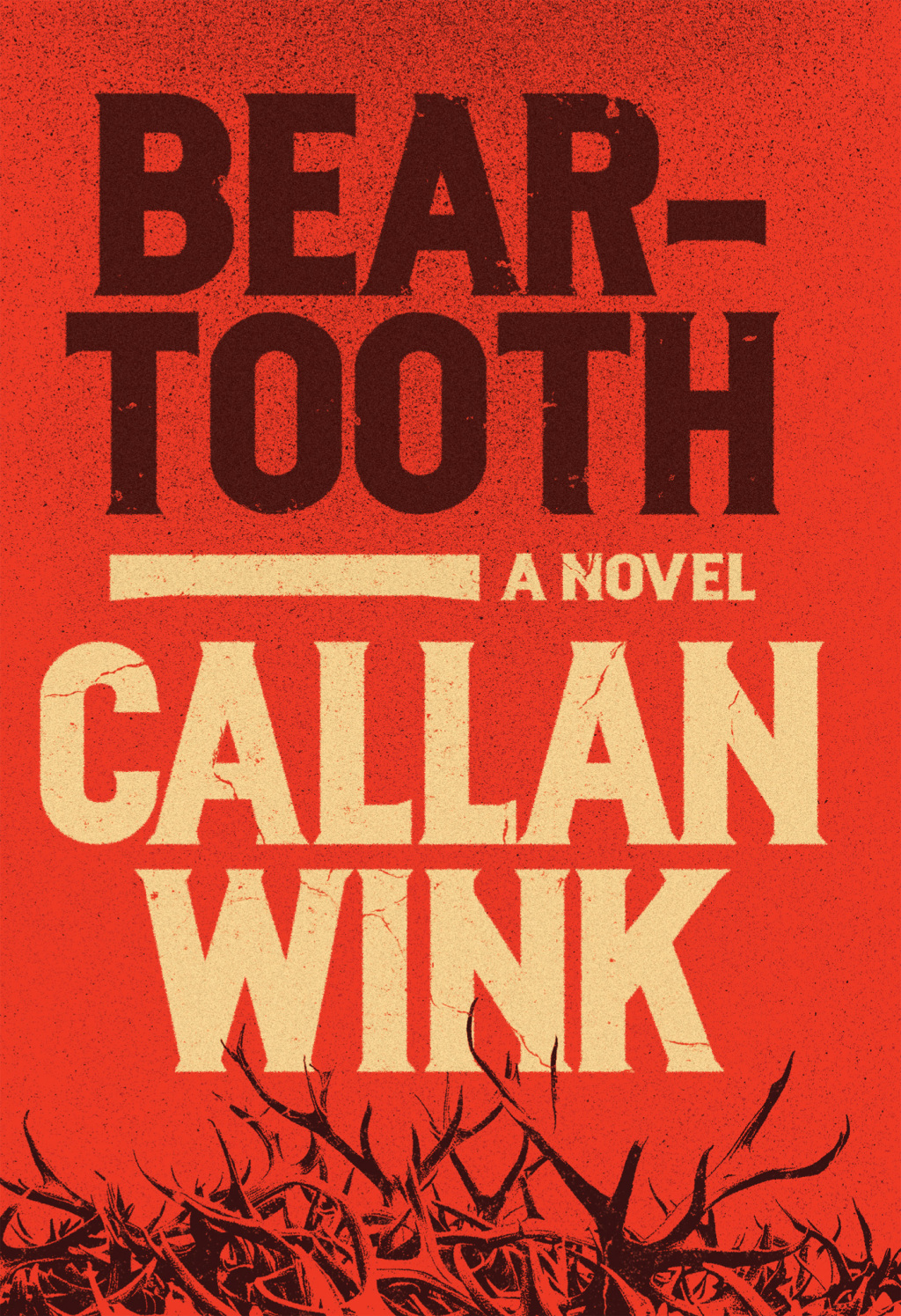 Beartooth (eBook)