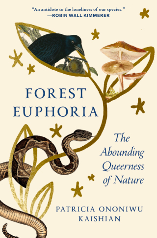 Imagen de portada: Forest Euphoria 9781954118904