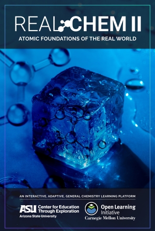 Cover image: REAL CHEM II 1st edition 9781954152199