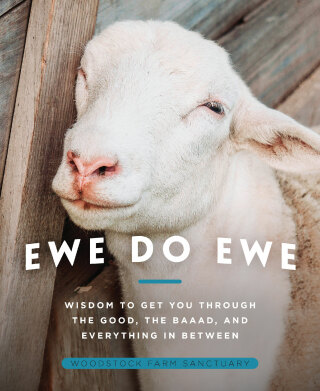 Cover image: Ewe Do Ewe 9781954641082