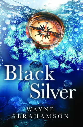 Imagen de portada: Black Silver 9781950906543