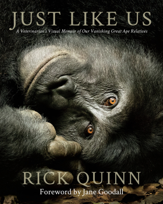 Imagen de portada: Just Like Us 9781734880212