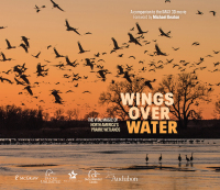 Cover image: Wings Over Water 9781954854550