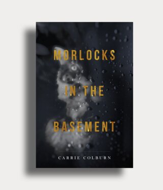 Imagen de portada: Morlocks in the Basement 9781955062206