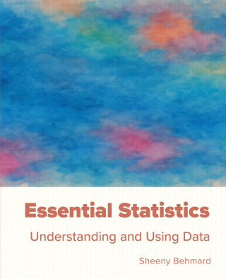 صورة الغلاف: Essential Statistics 2nd edition 9781955499484
