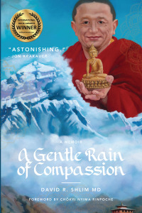 Cover image: A Gentle Rain of Compassion 9781942549734