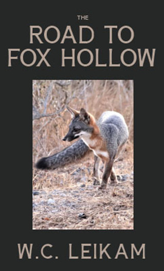 Omslagafbeelding: The Road to Fox Hollow 9781955690072