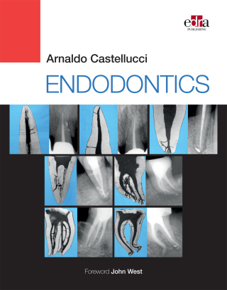 Cover image: ENDODONTICS 2 Volume Set 1st edition 9781957260051