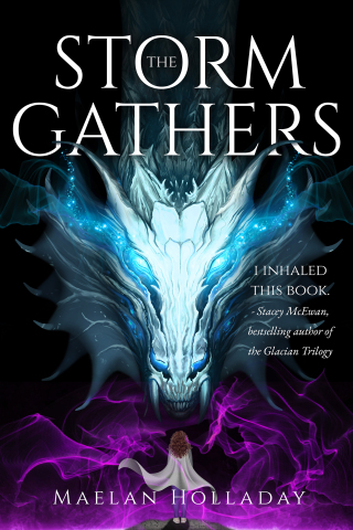 Cover image: The Storm Gathers 9781958607022