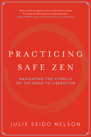Cover image: Practicing Safe Zen 9781958972786