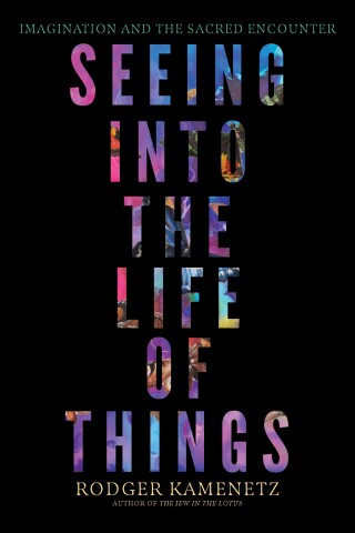 Cover image: Seeing into the Life of Things 9781958972915