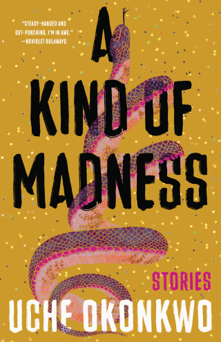 Cover image: A Kind of Madness 1st edition 9781959030386