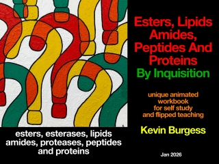 Cover image: Esters, Lipids, Amides, Peptides And Proteins By Inquisition: unique animated workbook for self study and flipped teaching 1st edition 9781959272298