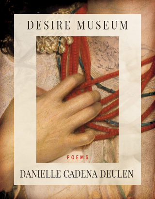 Imagen de portada: Desire Museum 9781960145000