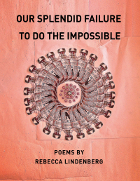 Cover image: Our Splendid Failure to Do the Impossible 9781960145291