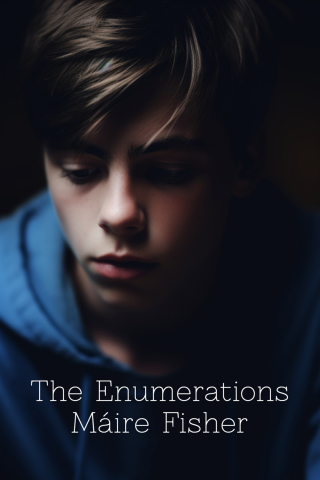 Cover image: The Enumerations 9781960803085