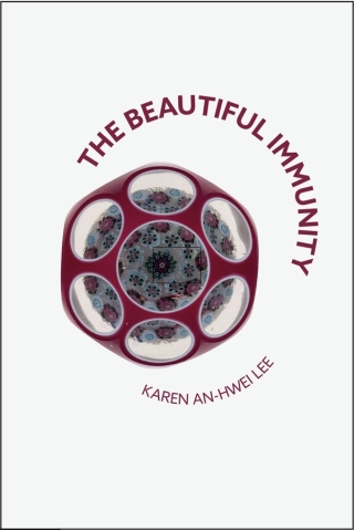 Cover image: The Beautiful Immunity 9781961209077