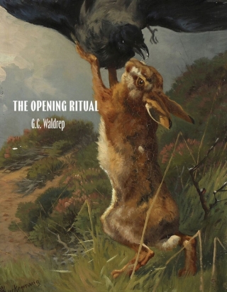 Cover image: The Opening Ritual 9781961209145