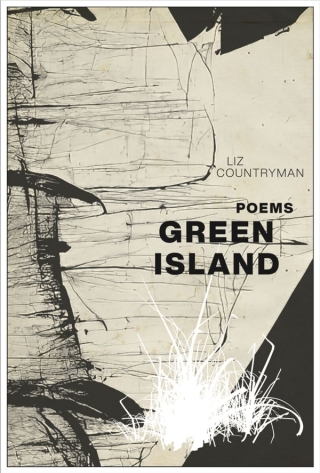 Immagine di copertina: Green Island 9781961209084