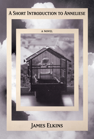 Cover image: A Short Introduction to Anneliese 9781961884434