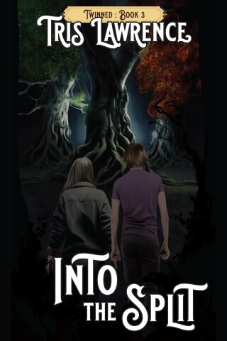 Imagen de portada: Into the Split 1st edition 978962488488
