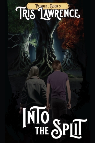 Imagen de portada: Into the Split 1st edition 978962488488