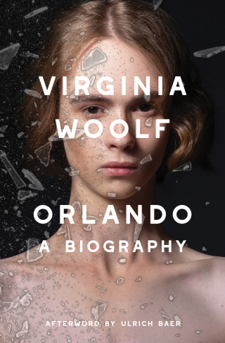 Cover image: Orlando (Warbler Classics Annotated Edition) 1st edition 9781962572330