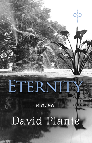 Imagen de portada: Eternity 9781963101027
