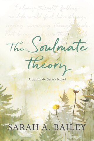Cover image: The Soulmate Theory