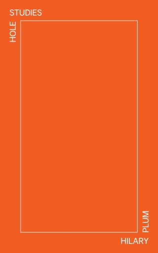 Imagen de portada: Hole Studies 9781964499260