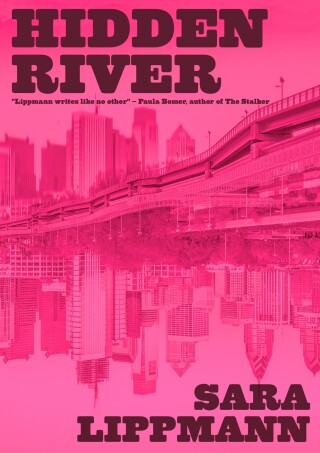 Imagen de portada: Hidden River 9781965199251