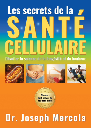 Cover image: Your Guide to Cellular Health: Unlocking the Science of Longevity and Joy 9781965429006