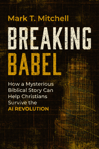 Cover image: Breaking Babel 9781967613212