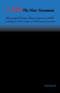 Cover image: I Am the New Testament 9781973603009