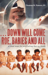 Cover image: . . . Down Will Come Roe, Babies and All 9781973607205