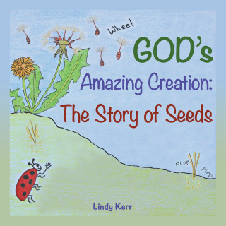 Cover image: God’S Amazing Creation 9781973612971