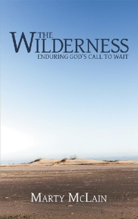 Imagen de portada: The Wilderness 9781973613527