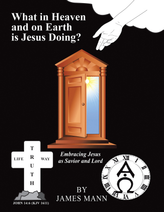 Omslagafbeelding: What in Heaven and on Earth Is Jesus Doing? 9781973613749