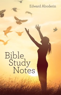 Imagen de portada: Bible Study Notes 9781973615347