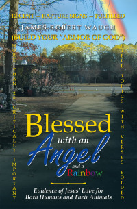 Imagen de portada: Blessed with an Angel and a Rainbow 9781973618812