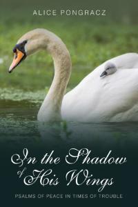 Cover image: In the Shadow of His Wings 9781973618904