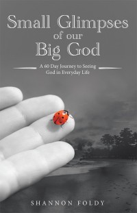 Cover image: Small Glimpses of Our Big God 9781973619222