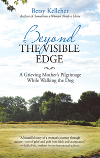 Cover image: Beyond the Visible Edge 9781973622109