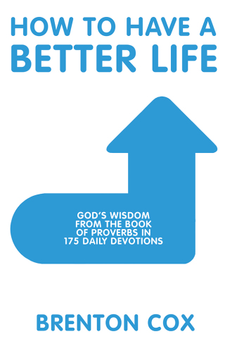 Cover image: How to Have a Better Life 9781973622550