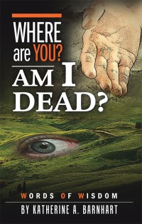 Cover image: Where Are You? Am I Dead? 9781973623595