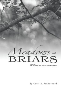 Cover image: Meadows or Briars 9781973624042