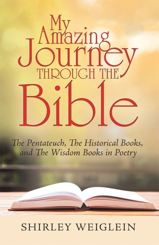 Cover image: My Amazing Journey Through the Bible 9781973625964